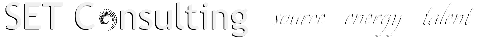 SET Business Consulting Kft. logo
